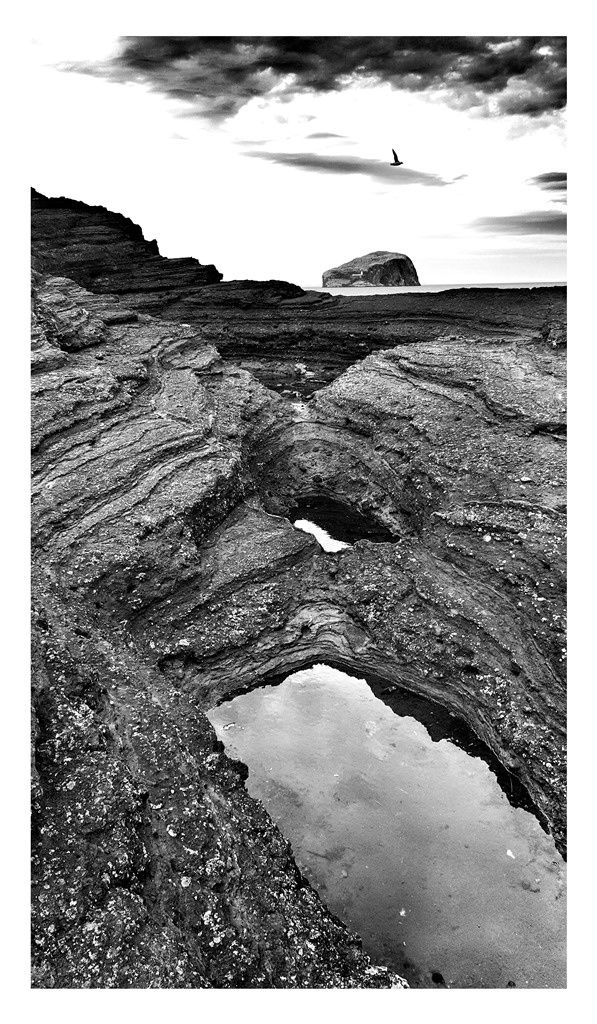 William Dalrymple, Untitled, 2016