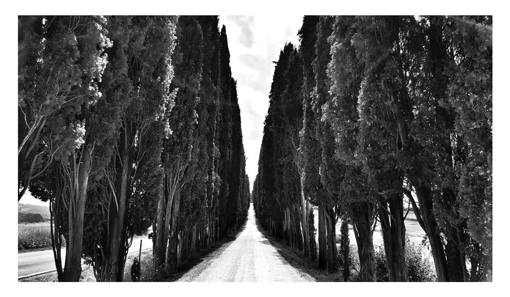 William Dalrymple, Untitled, 2016