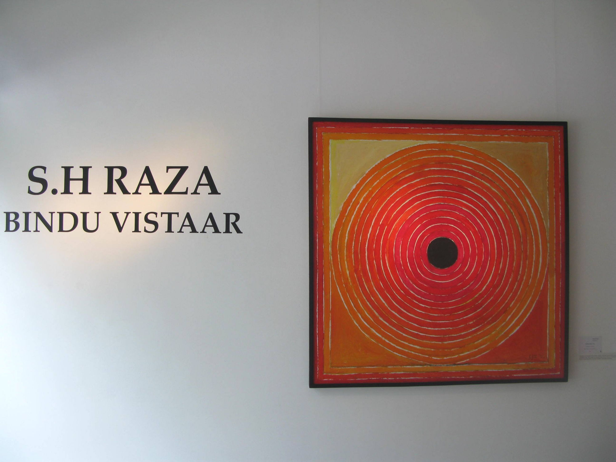 SH Raza, Bindu Vistaar installation shot