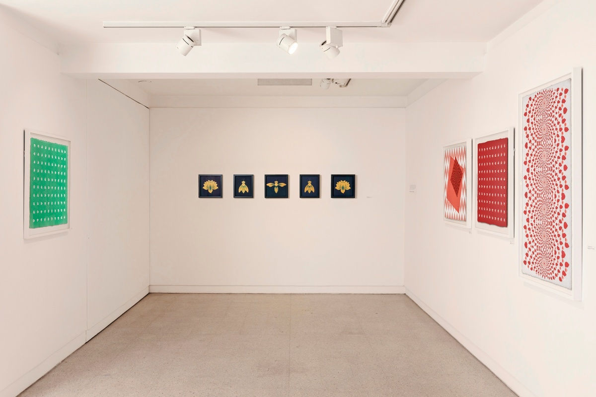 Olivia Fraser: Amrit