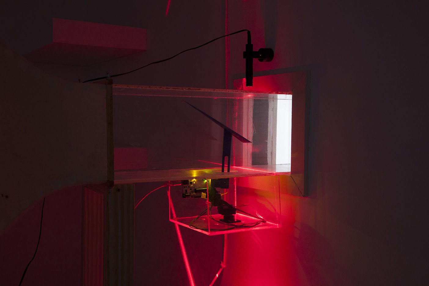 Firstname Lastname, Title, 2019 Installation view