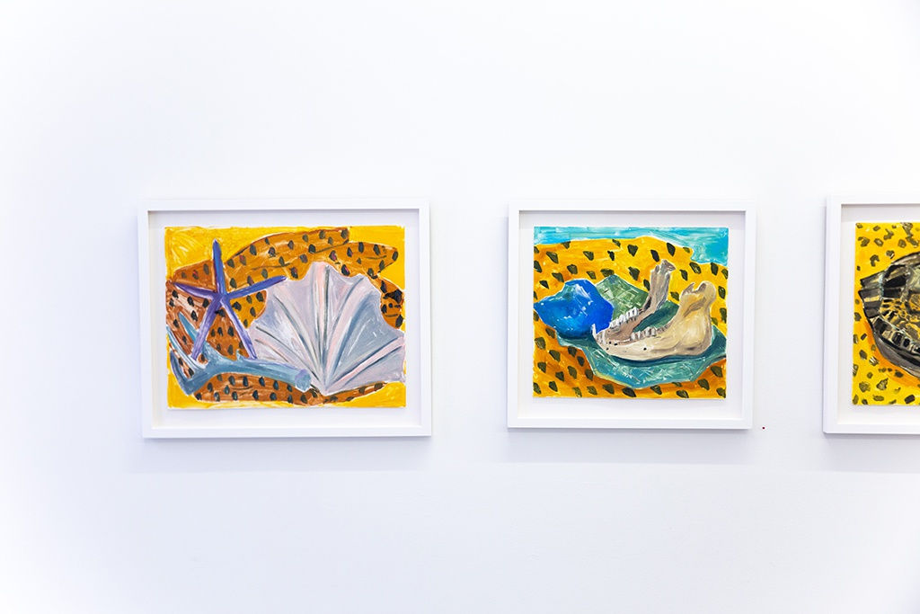 Anna Valdez "Natural Curiosity" installation