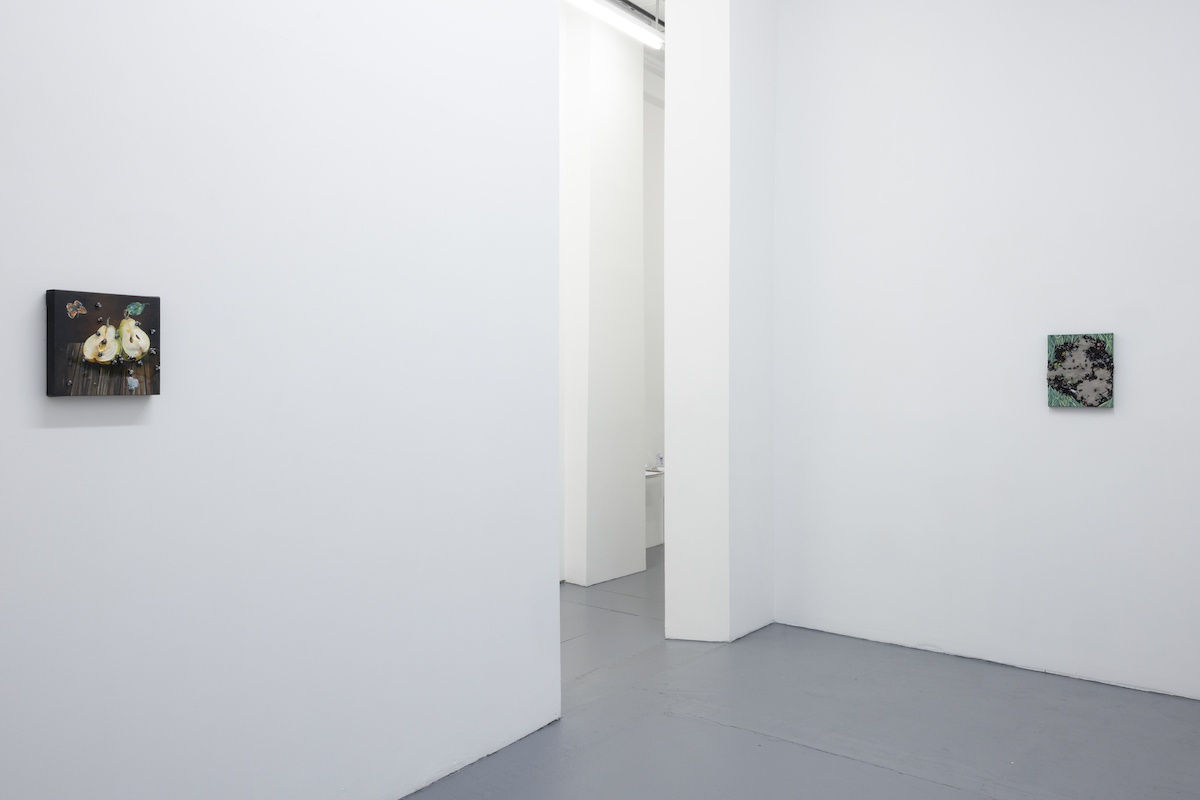 Installation photo from the Nic Dyer Exhibition "BREADCRUMB"