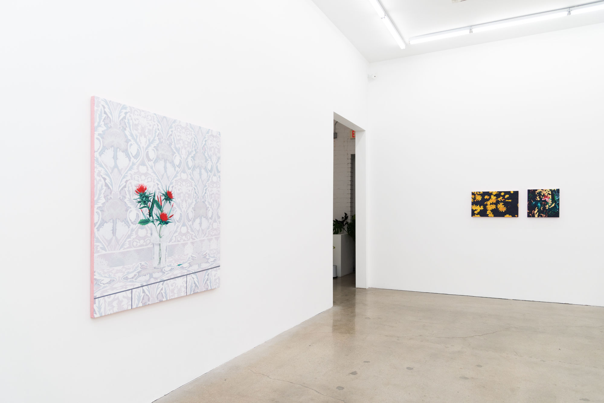 Installation image of Francisco Diaz Scotto's solo exhibition "Where Dreams Touch Ground" at Hashimoto Contemporary Los Angeles