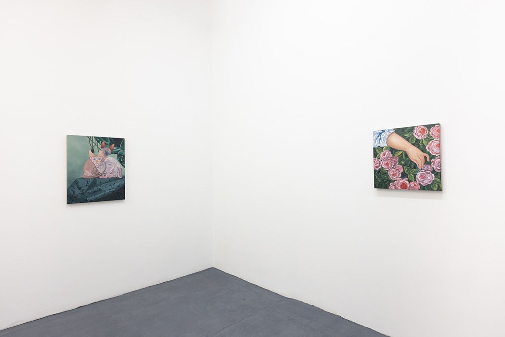 Installation image of Sabrina Bockler "Coquette" exhibition