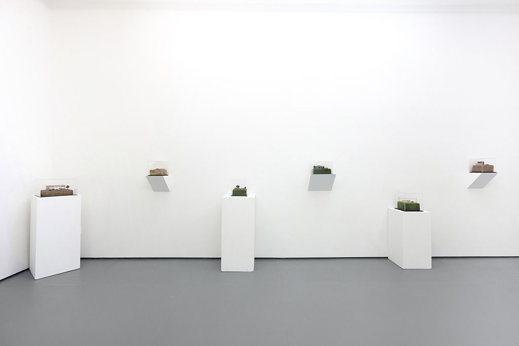 Installation image of Abigail Goldman exhibition "State of Nature"