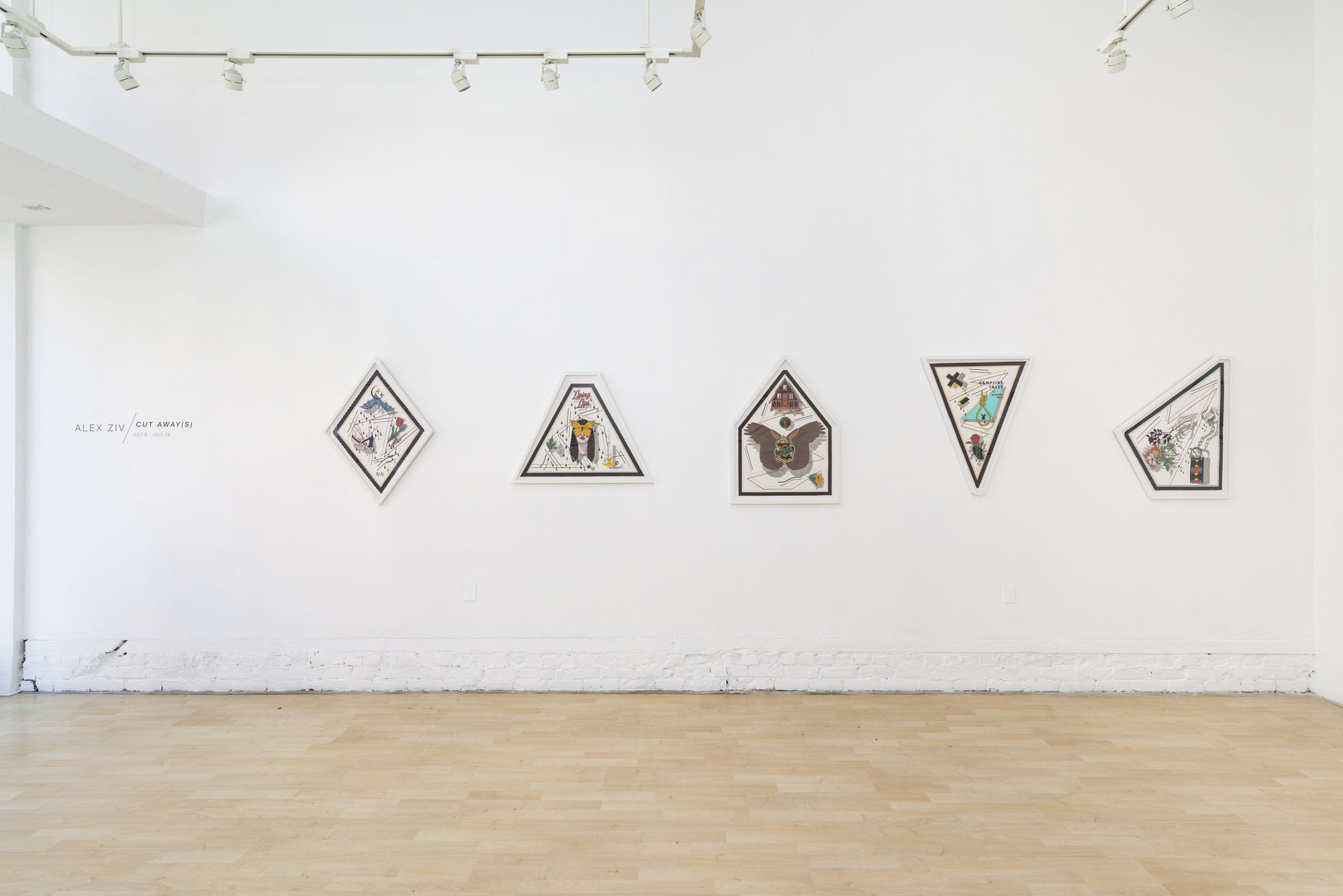Alex Ziv installation view