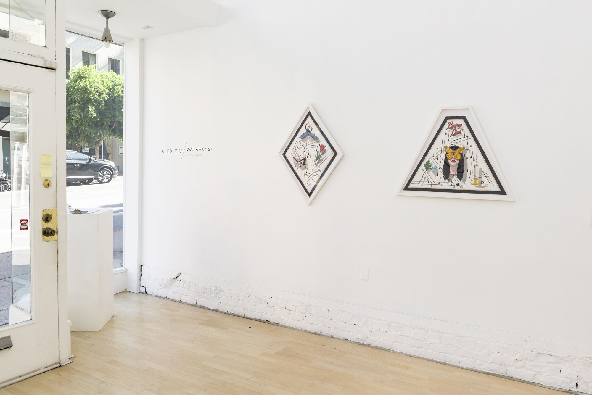 Alex Ziv installation view
