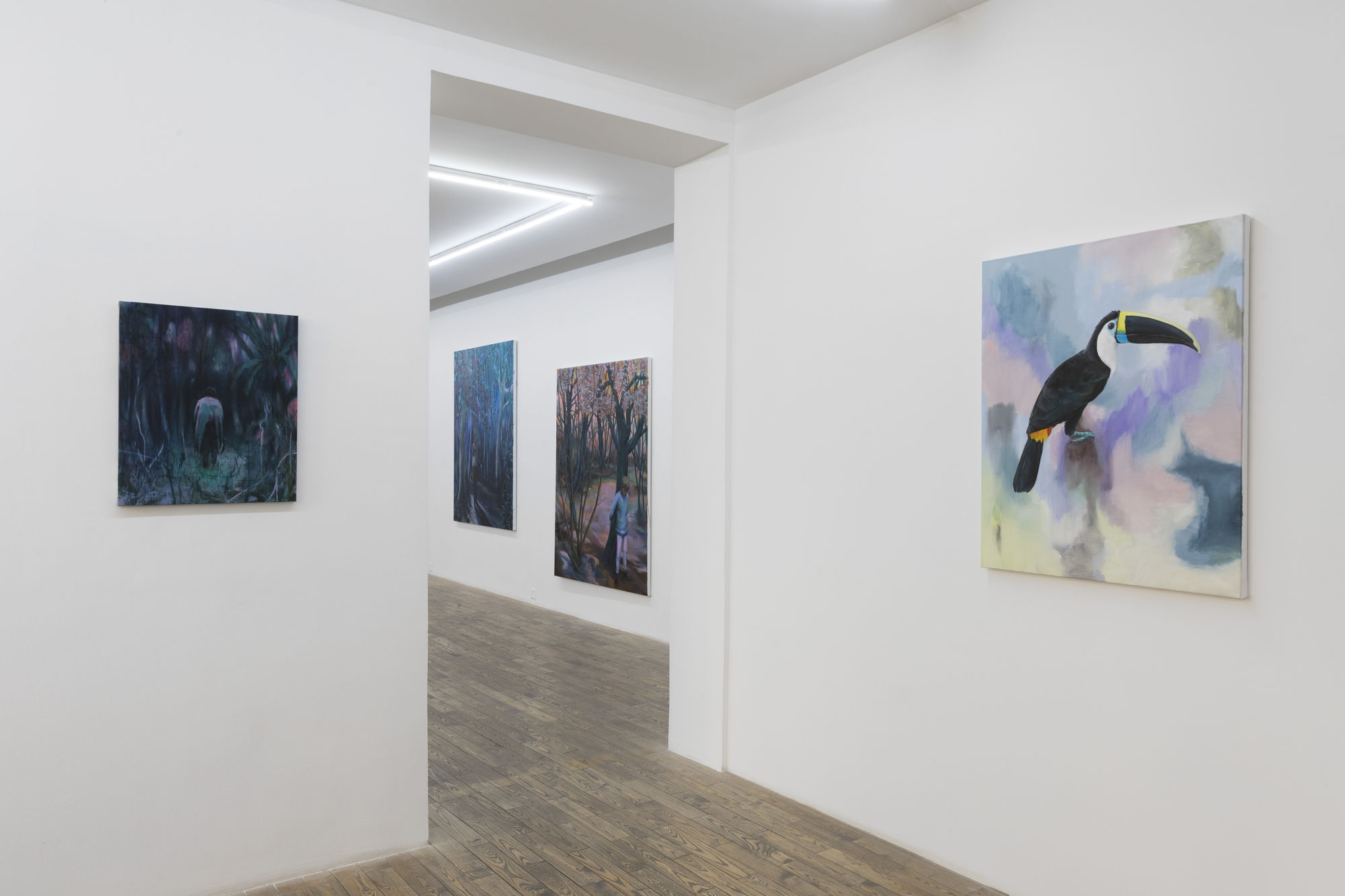 Romain Bernini | Tristes Tropiques