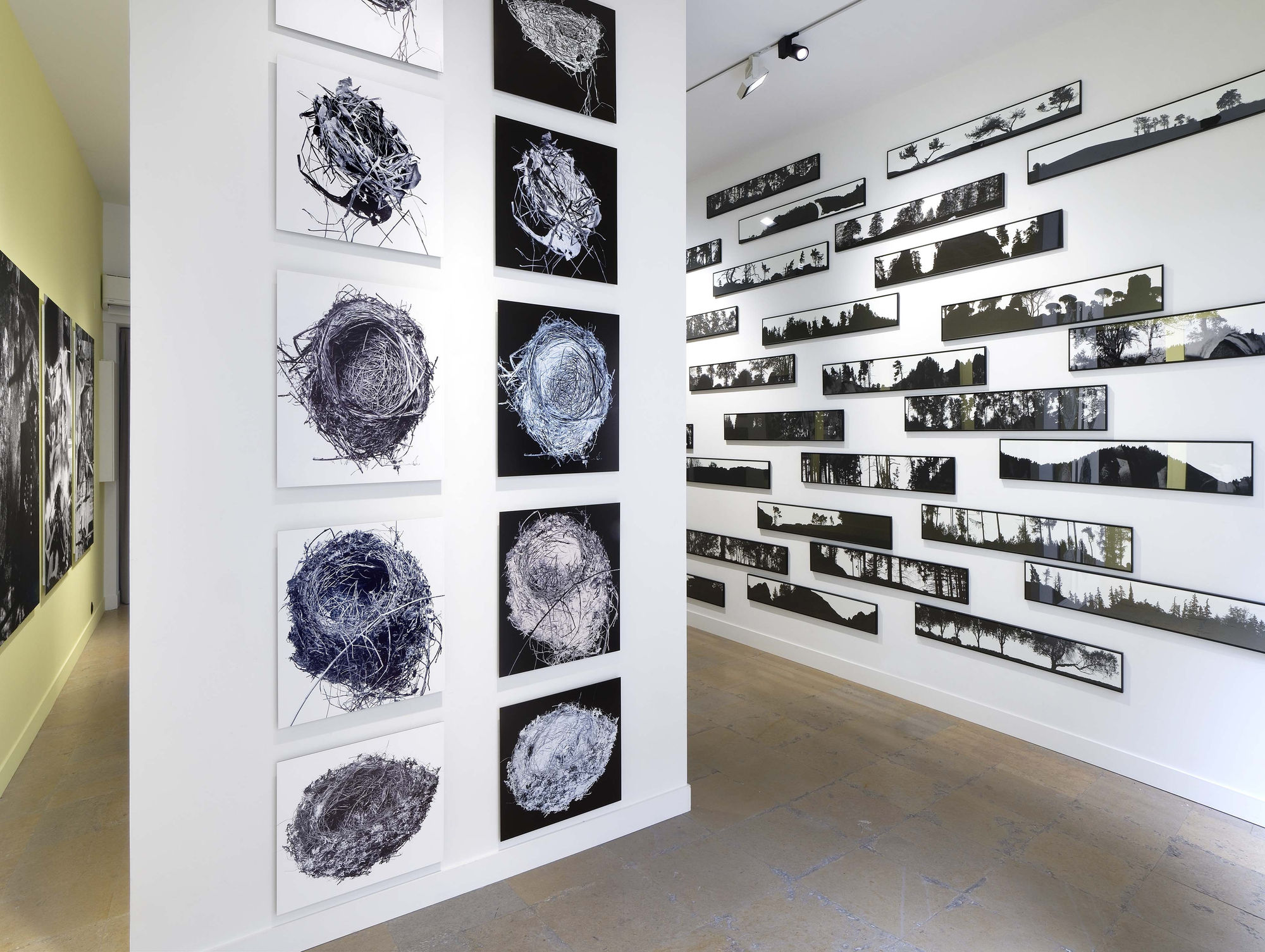 BLAISE ADILON, MÉMOIRES TROUBLÉES