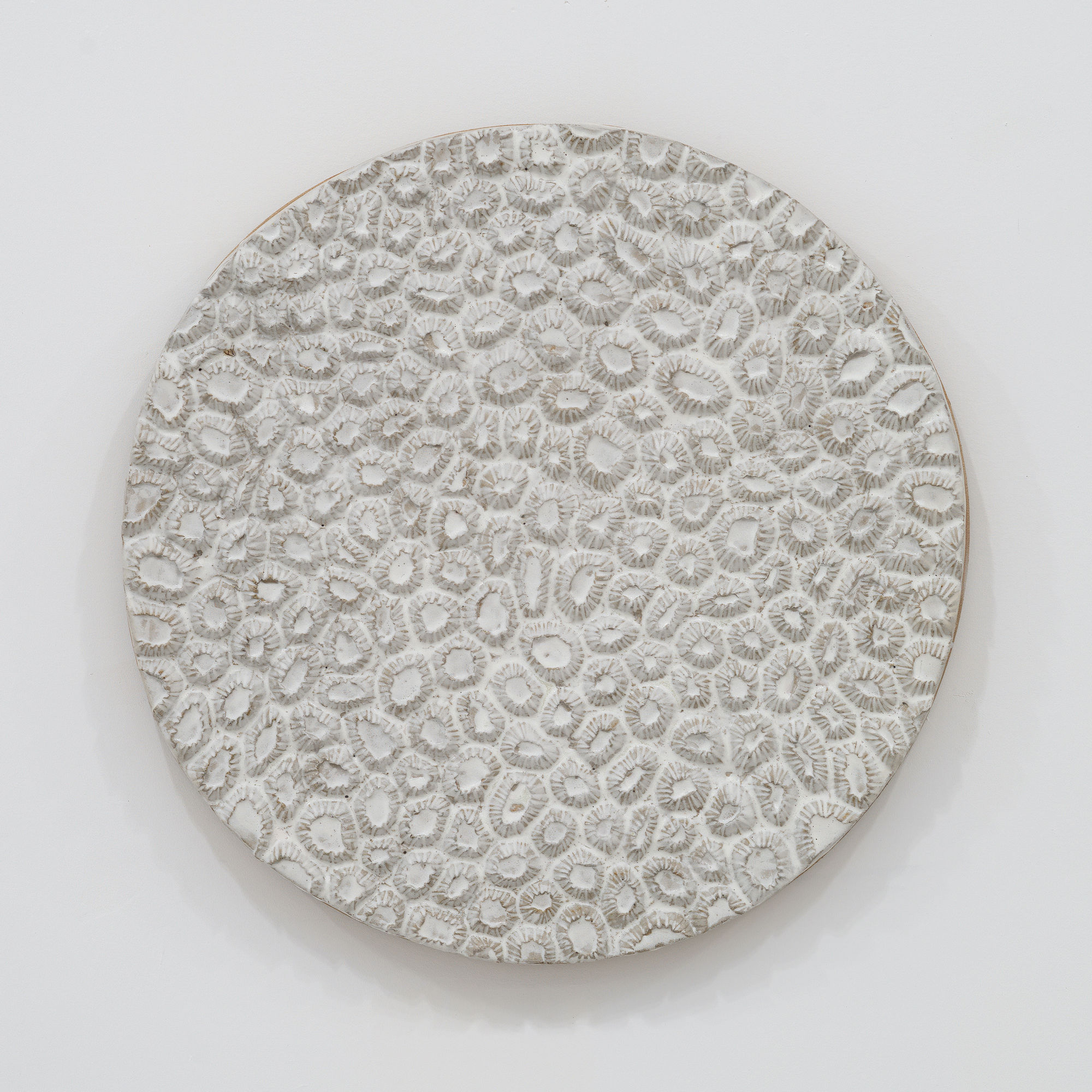 Randi Renate montastraea cavernosa (great star coral) .001L, 2023 Glazed stoneware Diameter: 22 inches (55.88 cm)