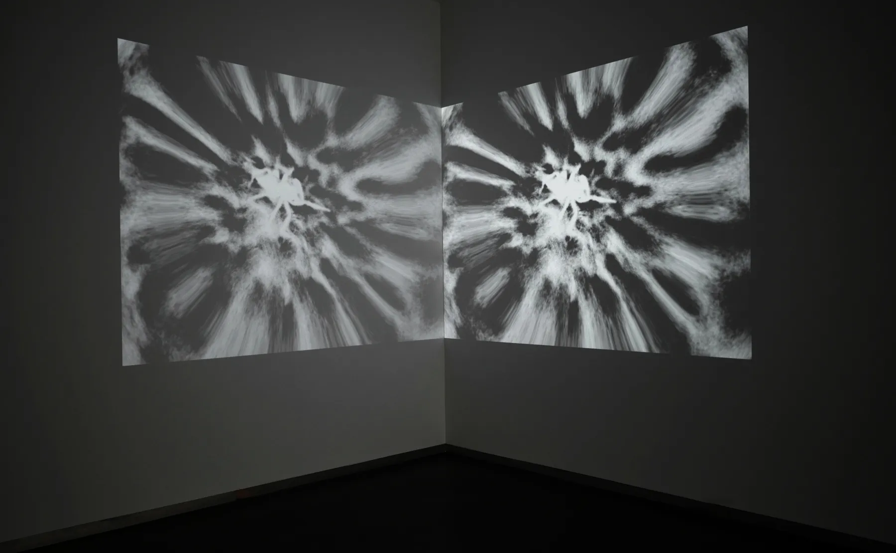 Ginny Huo (b. 1985) spinnerets (film), 2025 16mm film, tri-x black and white film Duration: 2 minutes Edition 1 of 5, 2AP GHU010.1 Cinematography, edit, and sound design by Saif Al- Sobaihi