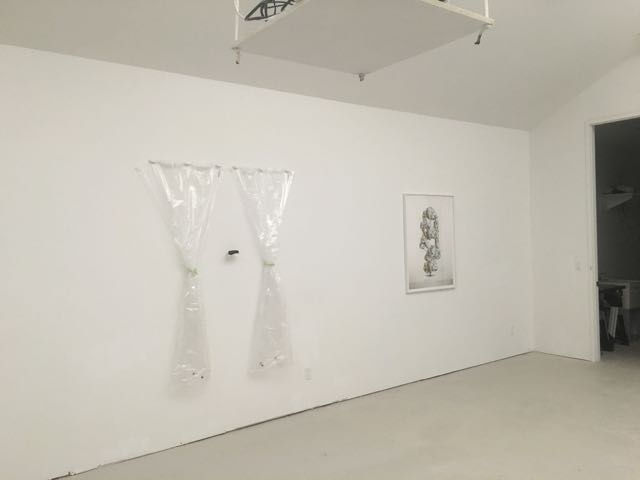 The Castle of Perseverance