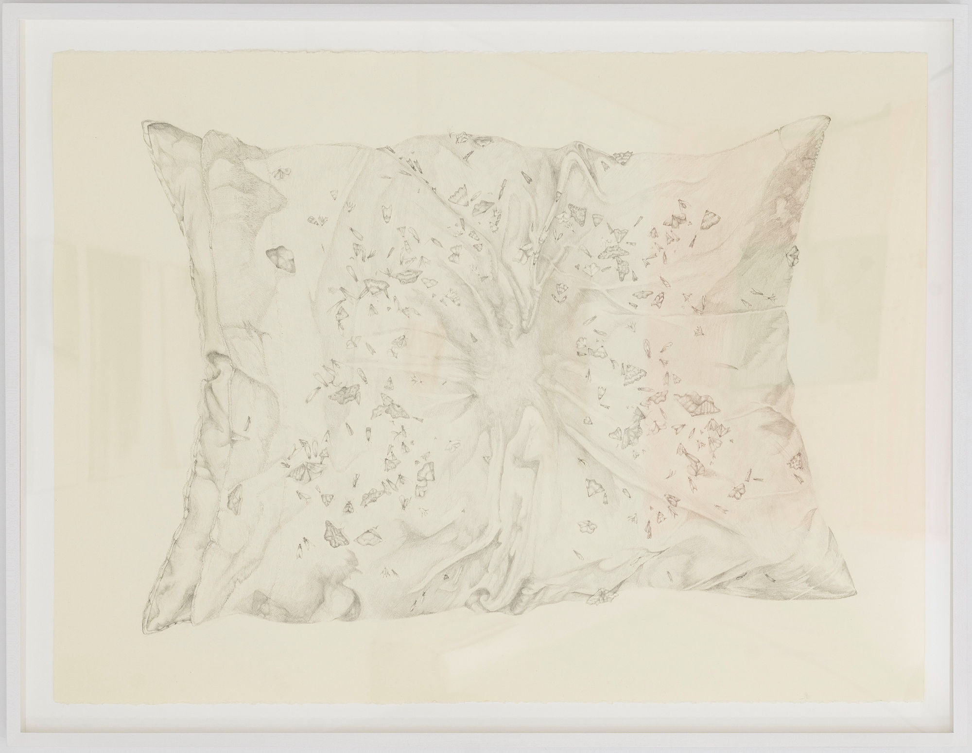 Megan Cline wishing the watchers well, 2025 Graphite on paper 22 x 30 inches 55 x 76 cm