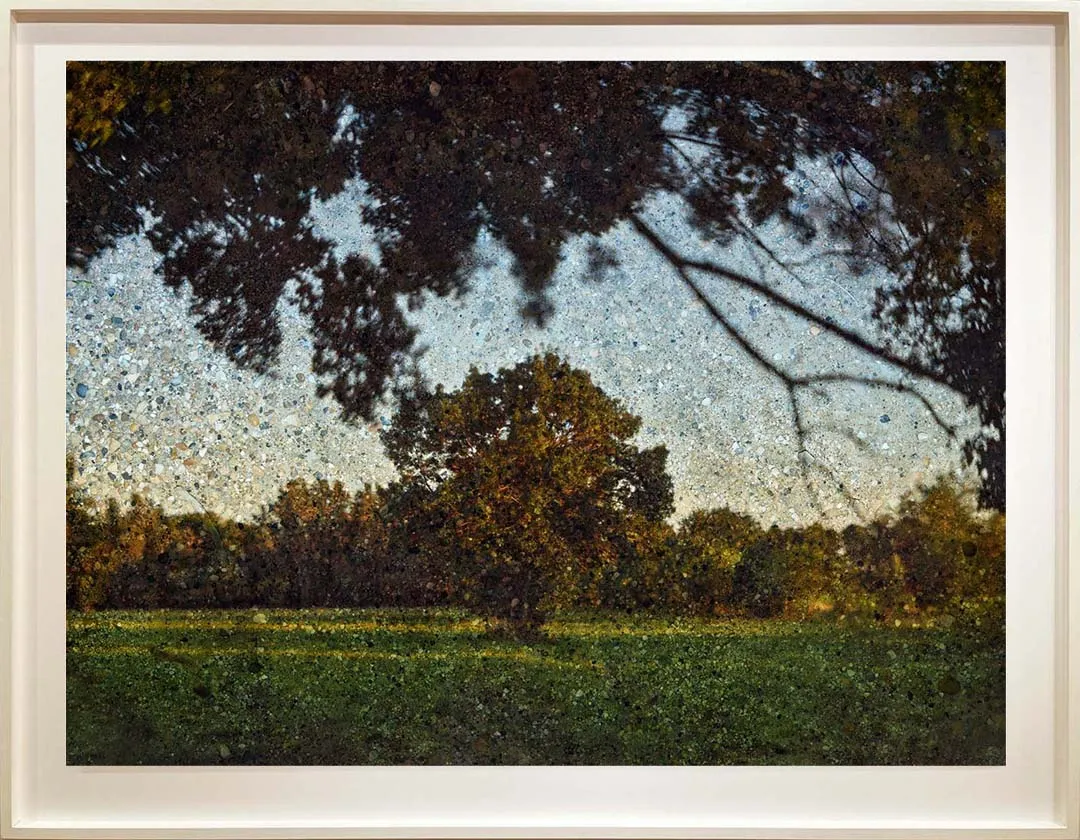 Tent Camera Image, A Single Tree in Late Afternoon, Near Arles, France by Abelardo Morell in white frame