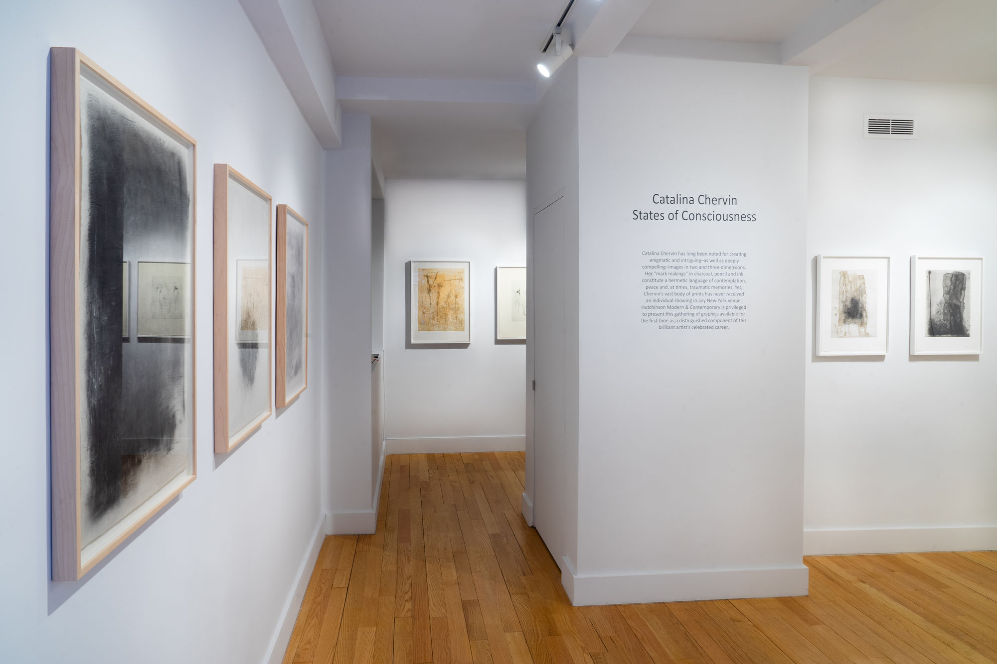 Catalina Chervin: States of Consciousness