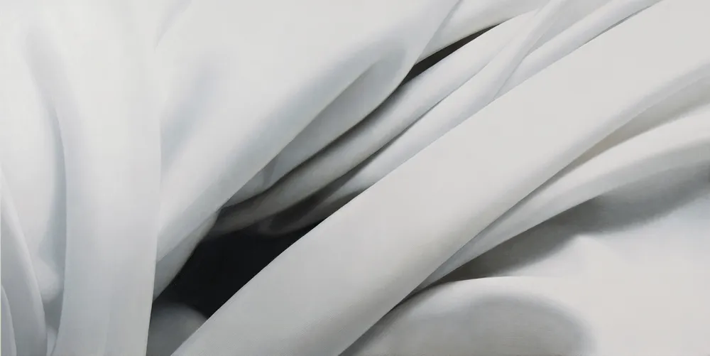 Mere 2011 oil on canvas 91.4 x 182.8 cm