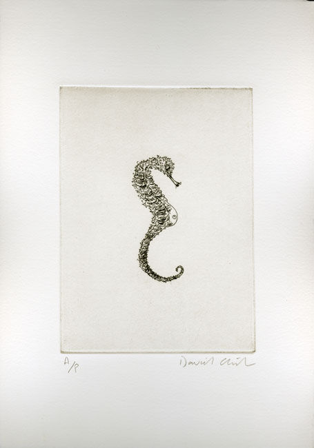 Tempest of Stars (seahorse) 2002 etching, edition of 15 plus 1 AP 17.5 x 12.5 cm paper size &pound;380 +vat framed (&pound;2,600 +vat framed suite of 7 etchings)