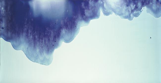 Shoreline 2003 unique photogram on Cibachrome paper 110 x 206.5 cm (framed), 101.5 x 201cm (paper size)