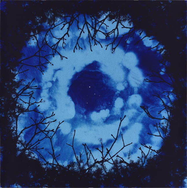 Stilled 2006 dye destruction (Ilfochrome) print, series of 5 each unique 110.5cm x 110.5cm framed