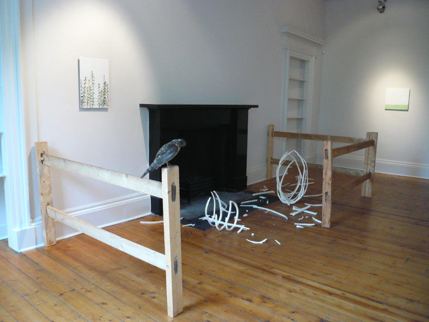 For They Know Not What They Do at Ingleby Gallery, May 2007