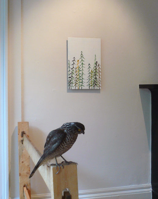 Fence VIII (left) and The Lost Path (right) 2003-2007,2005 Harris Hawk, found pallet wood; watercolour and emulsion on found board