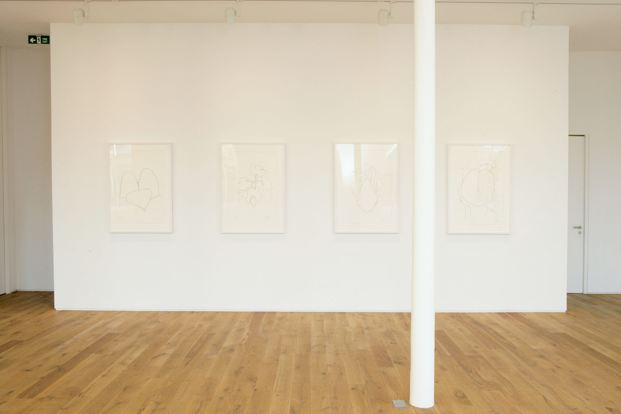 Installation view, Ellsworth Kelly: Plant Lithographs from the Artist's Collection, Ingleby, Edinburgh, 5 December 2008 - 7 February 2009.