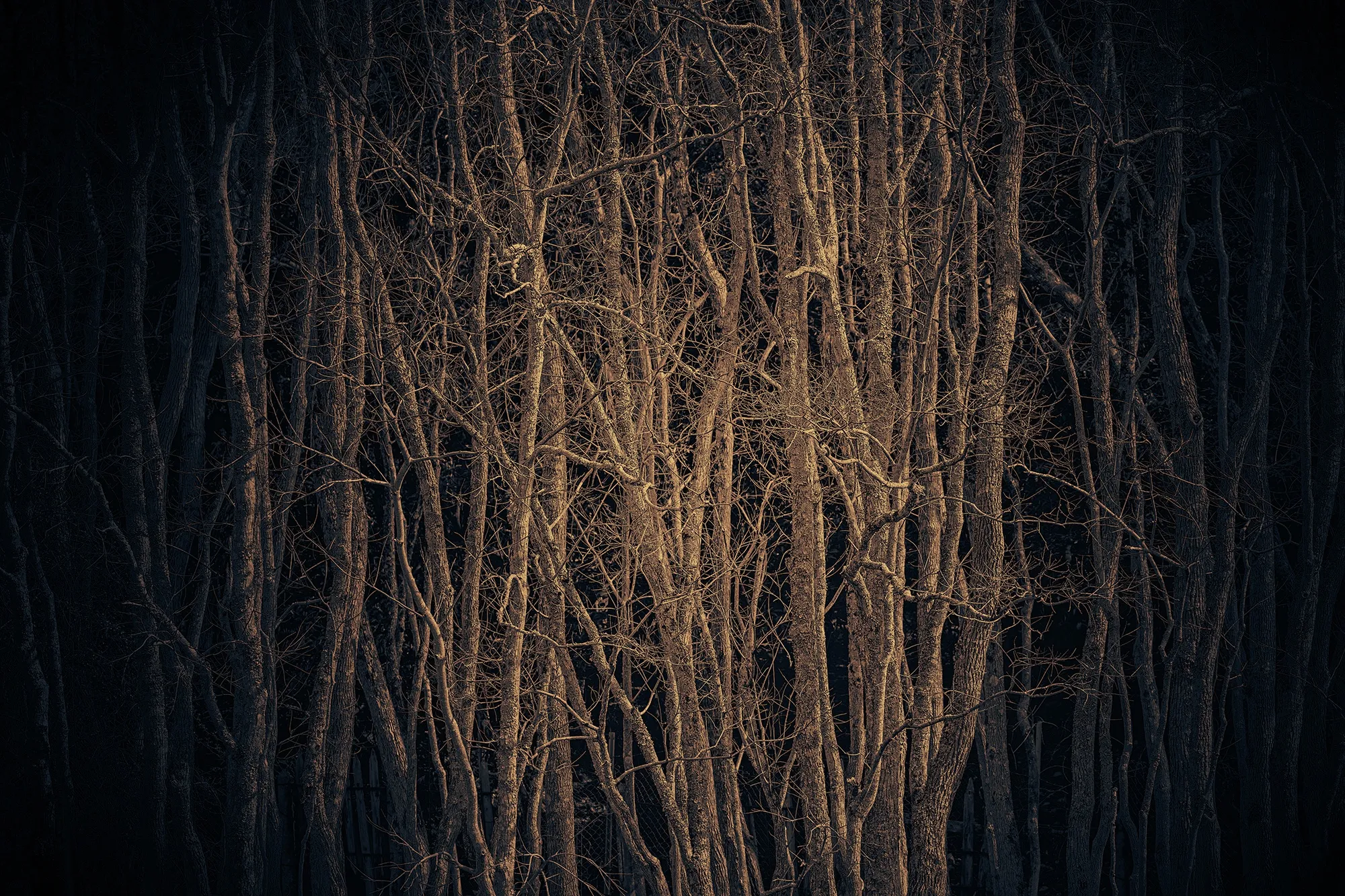 HIGHLIGHTS International Art Fair Munich 2021