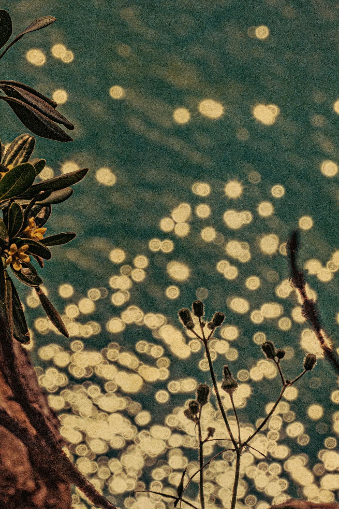 HIGHLIGHTS International Art Fair Munich 2023