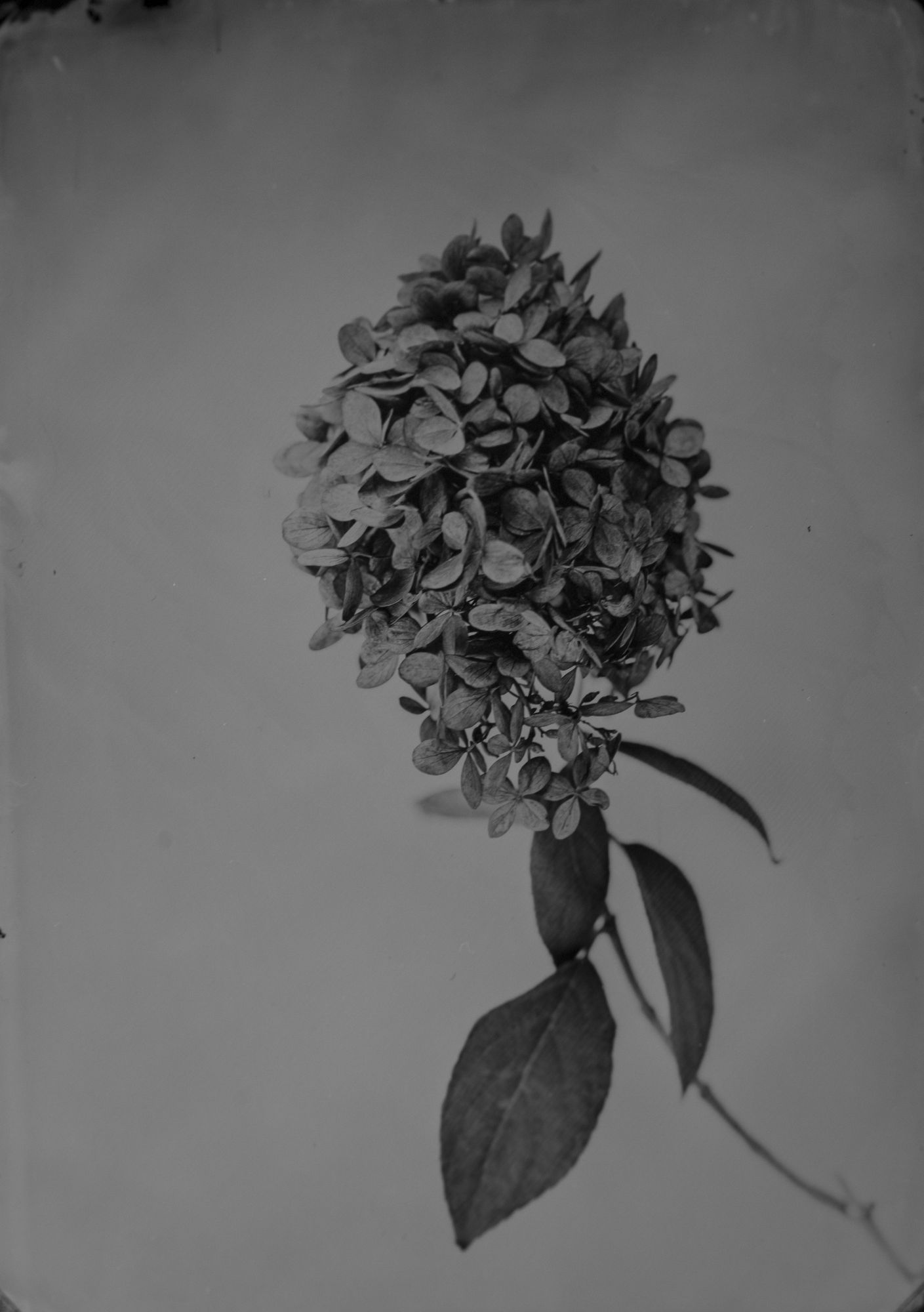 HIGHLIGHTS International Art Fair Munich 2023