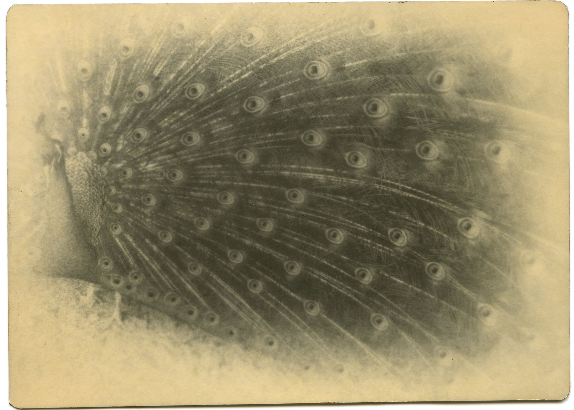 HIGHLIGHTS International Art Fair Munich 2024