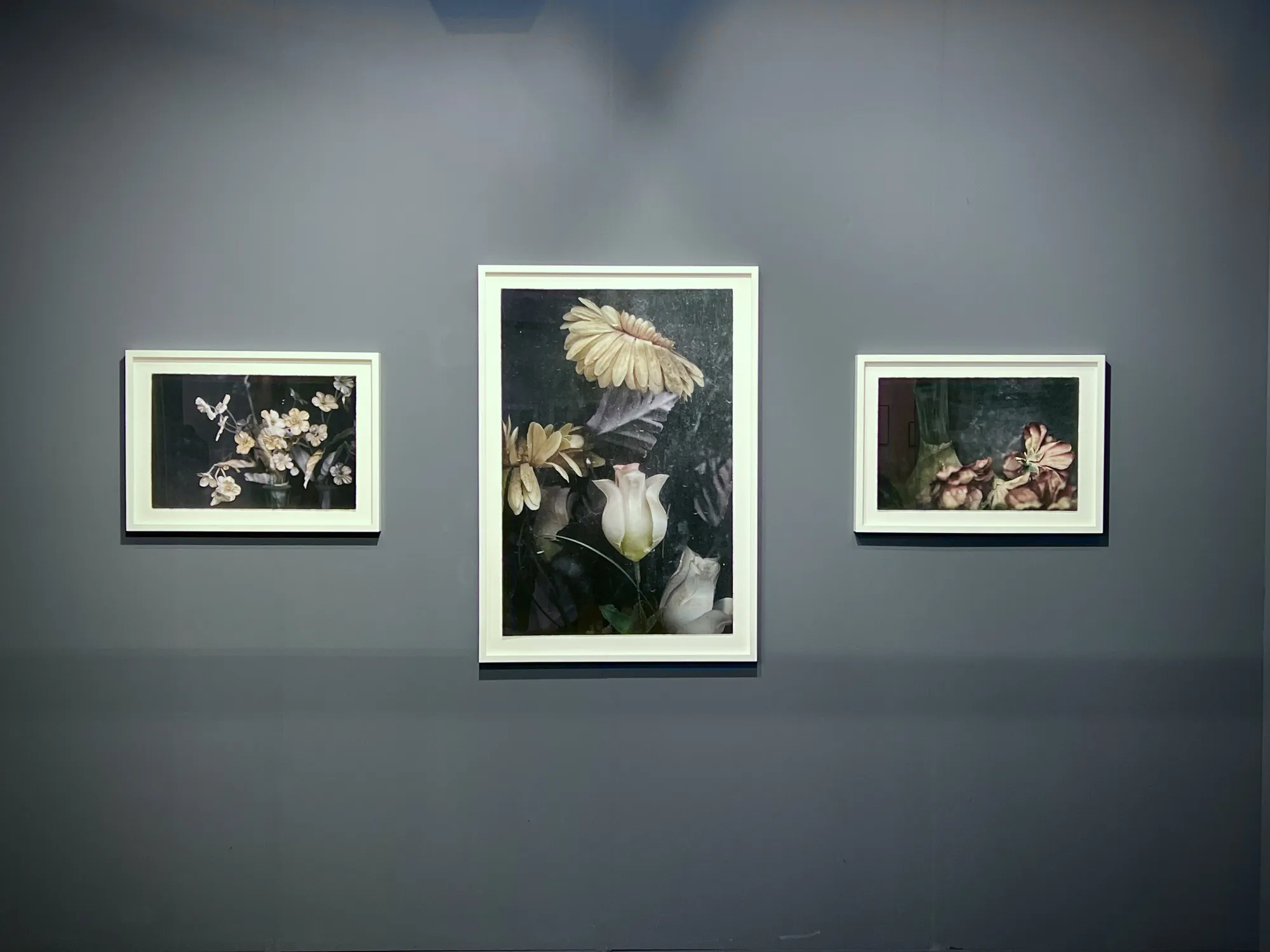 Art Rotterdam & Unseen Photo Fair 2026