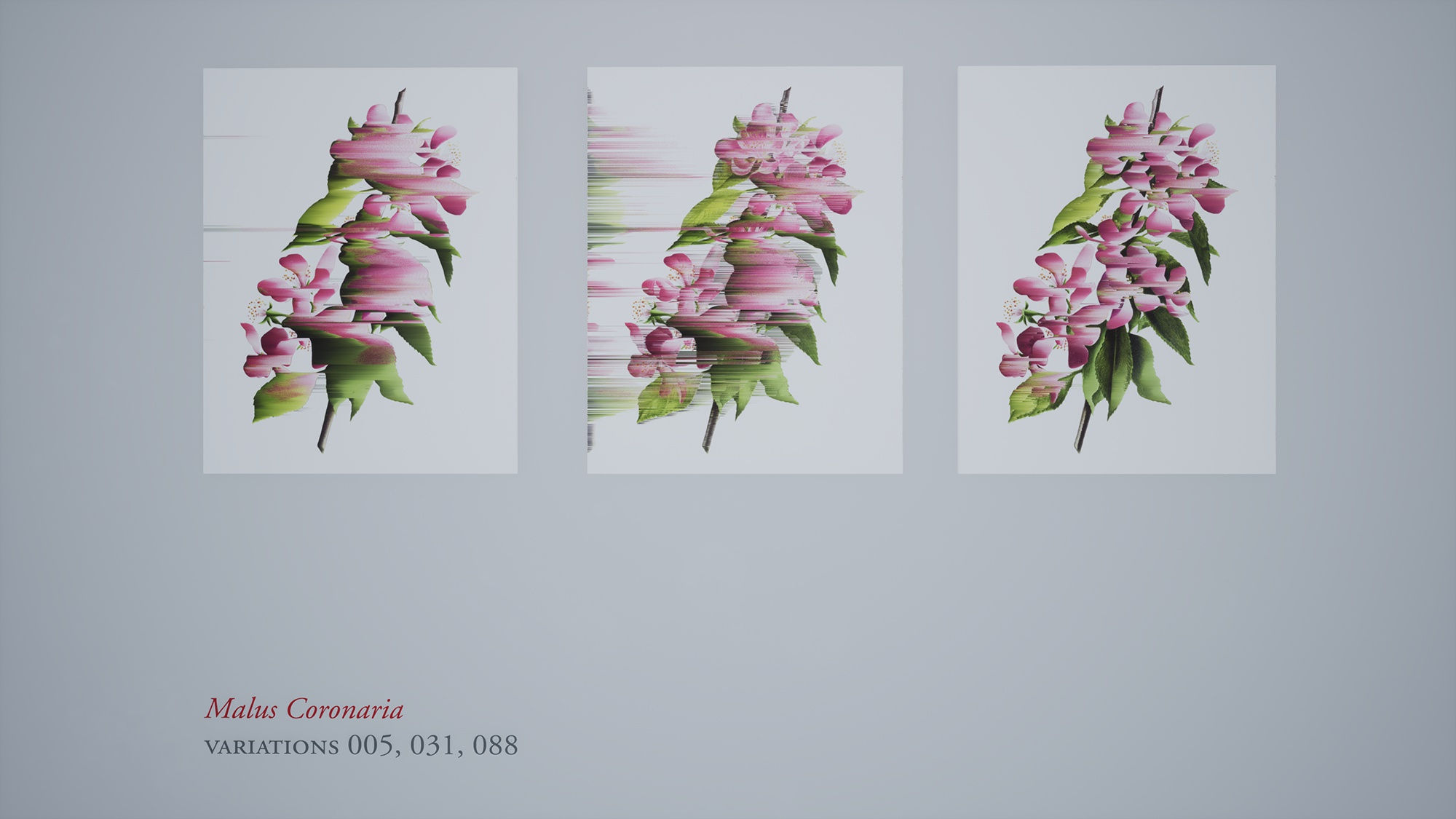 Virtual installation view of the exhibition After Nature by Andrea Wolf, presented by Isabel Croxatto Galería at ICG+. September, 2020. Credit: deeptime.art, courtesy of Isabel Croxatto Galería.