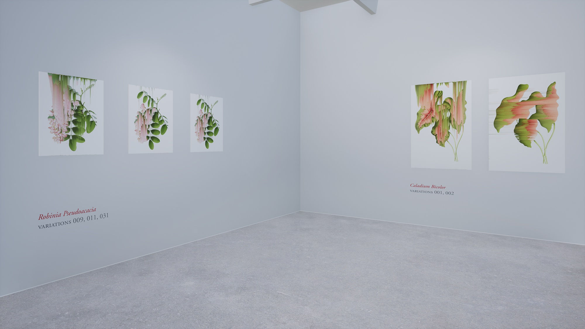 Virtual installation view of the exhibition After Nature by Andrea Wolf, presented by Isabel Croxatto Galería at ICG+. September, 2020. Credit: deeptime.art, courtesy of Isabel Croxatto Galería.