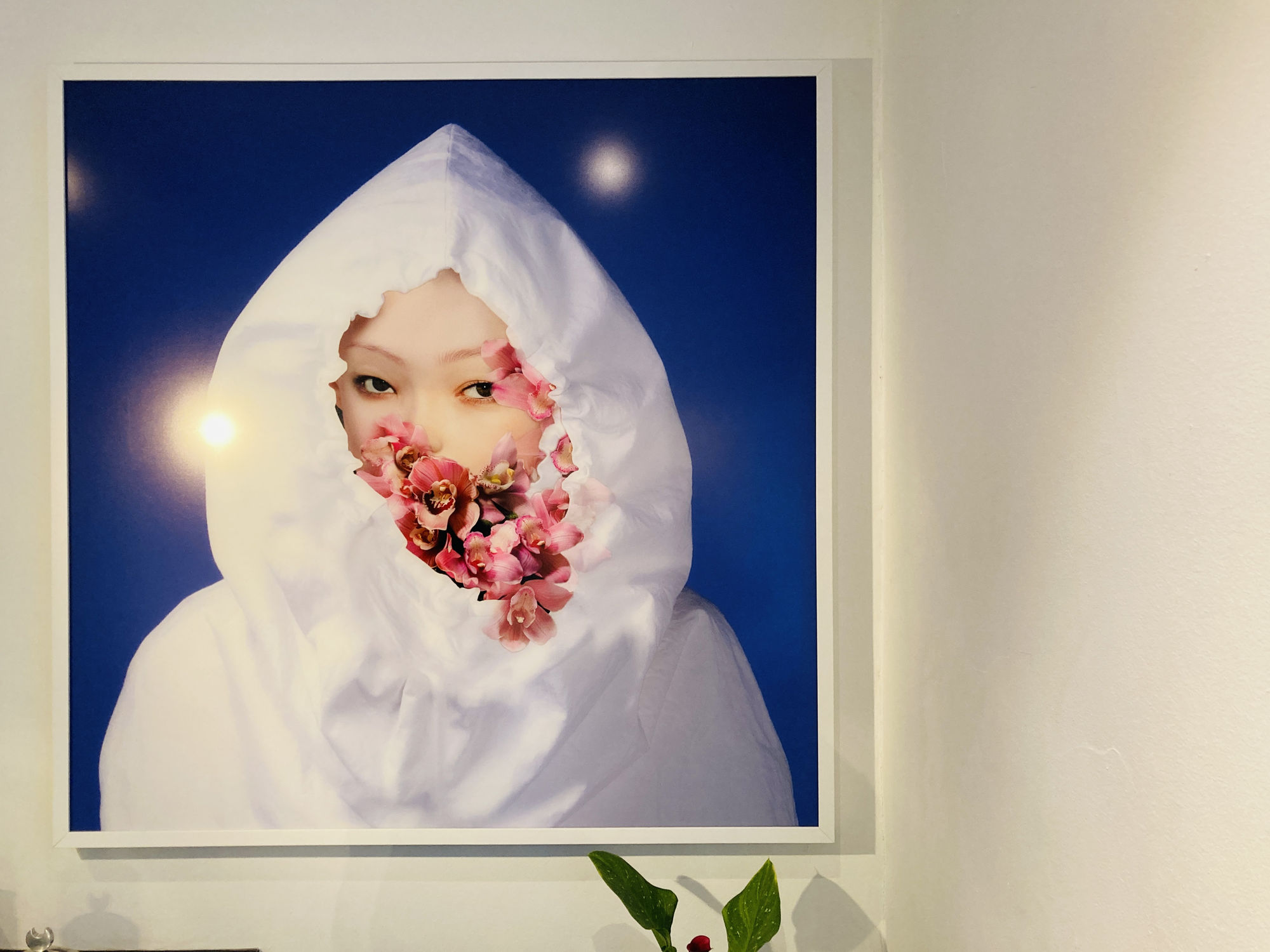 Chrysalis | Cecilia Avendaño