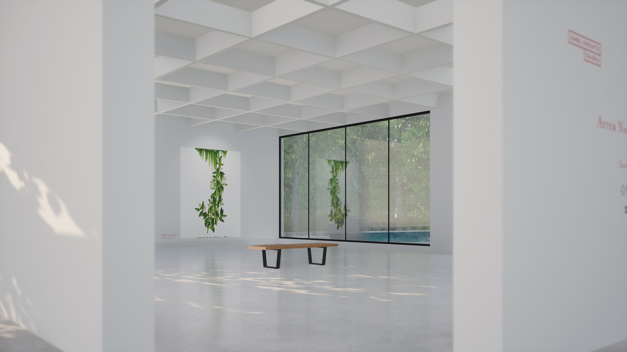 Virtual installation view of the exhibition After Nature by Andrea Wolf, presented by Isabel Croxatto Galería at ICG+. September, 2020. Credit: deeptime.art, courtesy of Isabel Croxatto Galería.