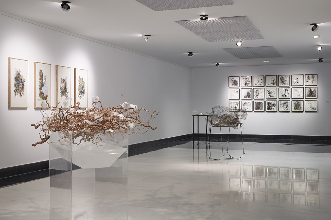 The song of the tree