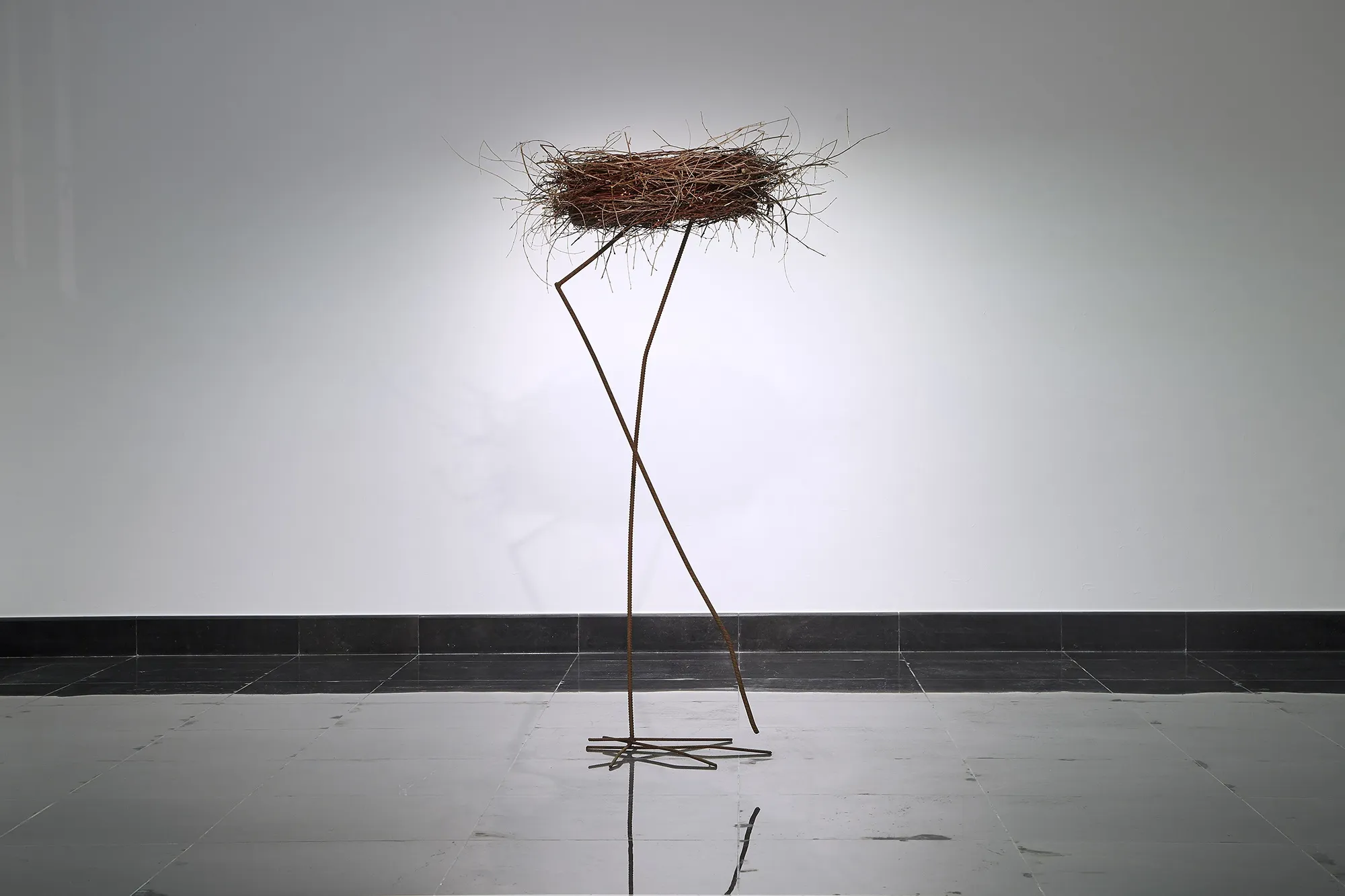 The song of the tree