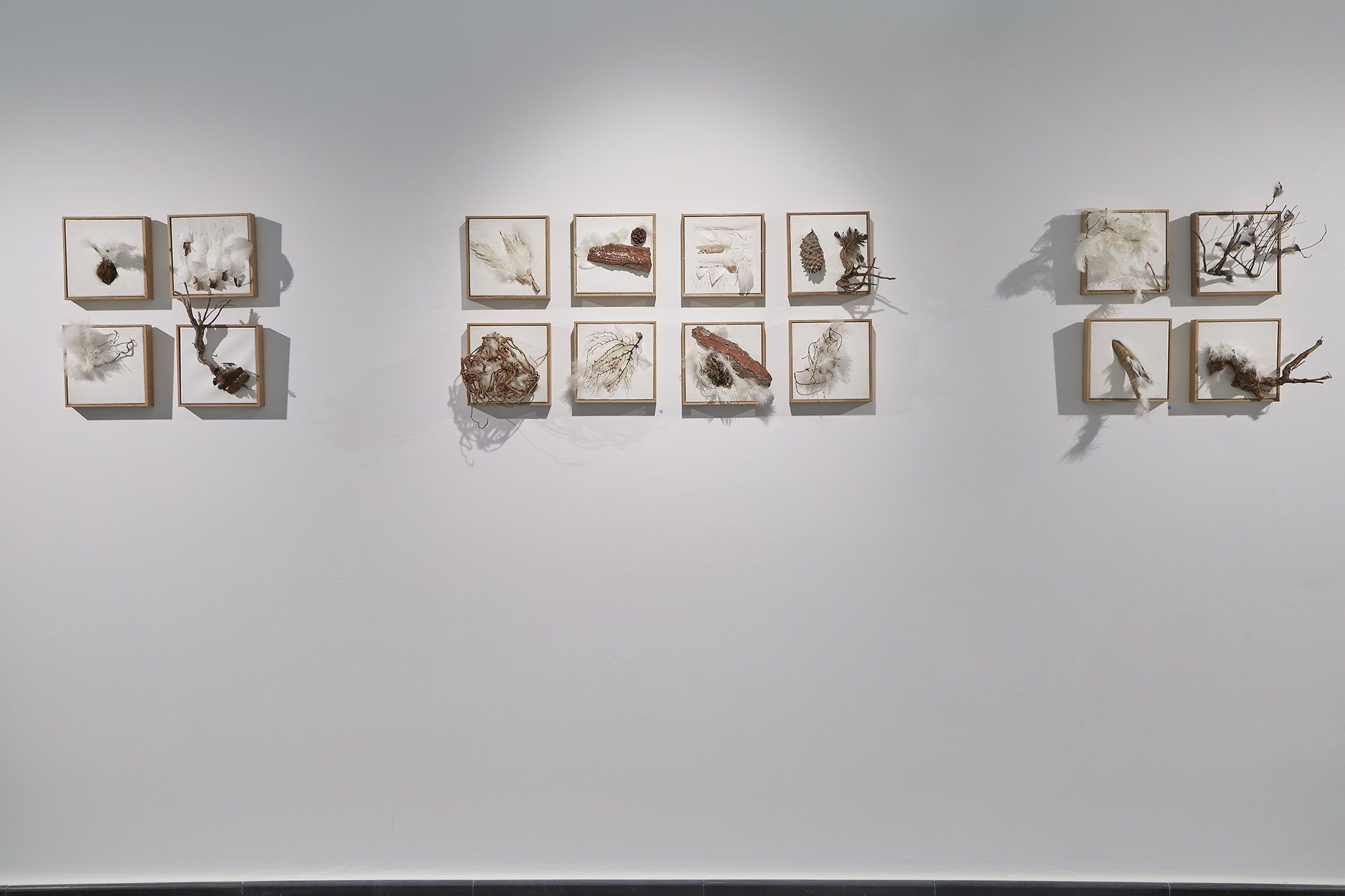 The song of the tree