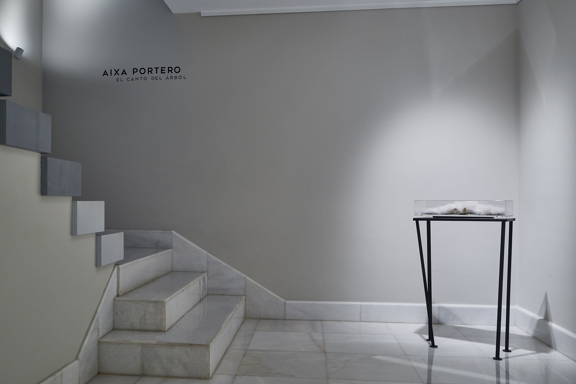 The song of the tree