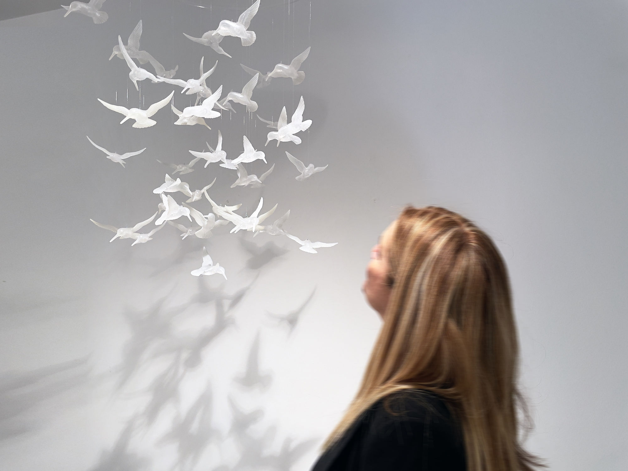 Stardust, a universal poem