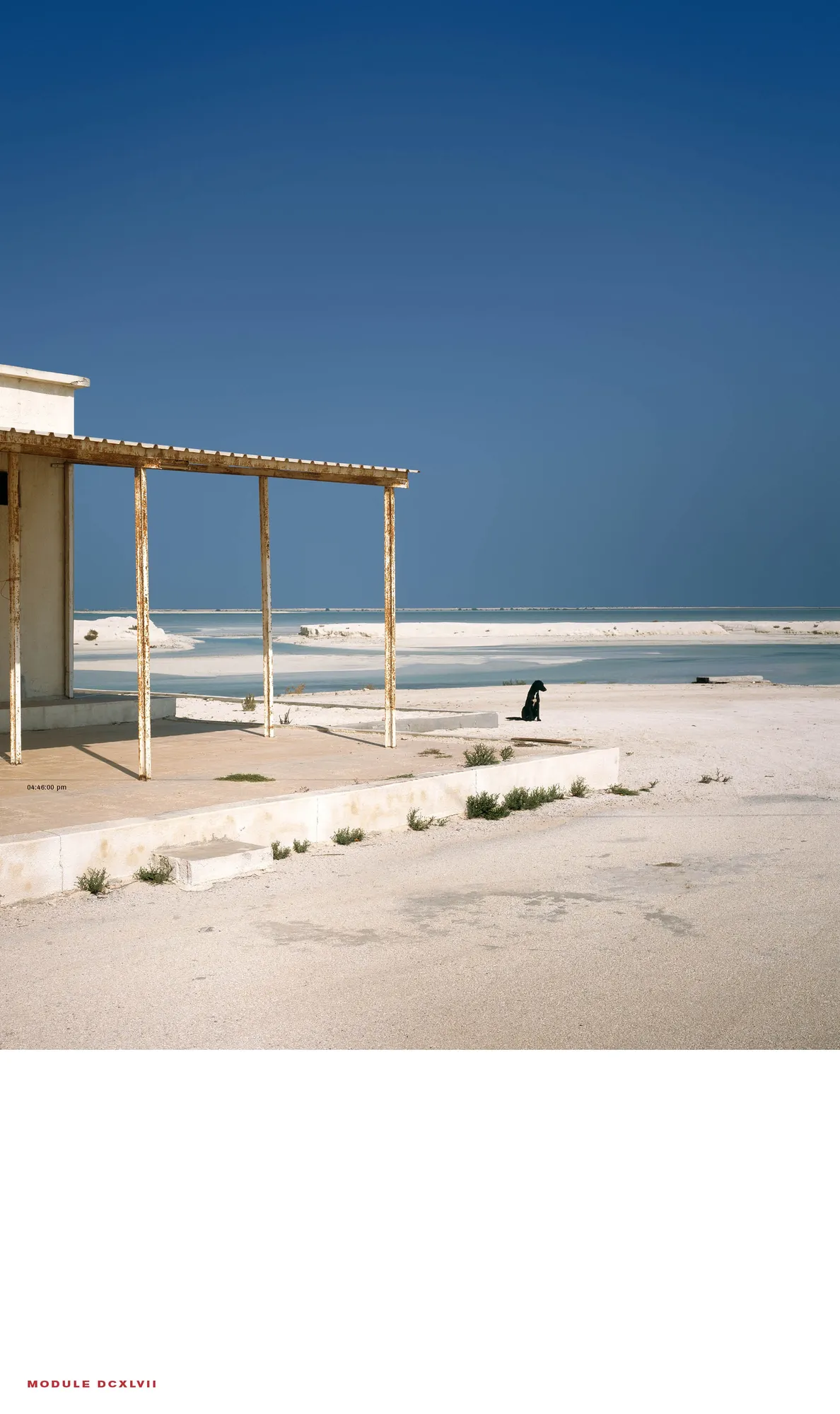 Jan De Cock LEARNING FROM QATAR MANIFESTO BY ANGELIQUE CAMPENS & JAN DE COCK