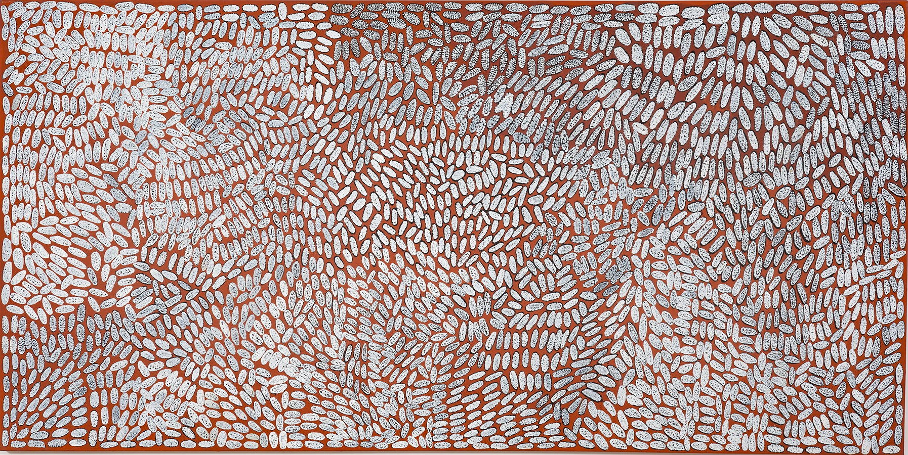 Phyllis Binjalk Ningarmarra, Sugar Leaf, 2018