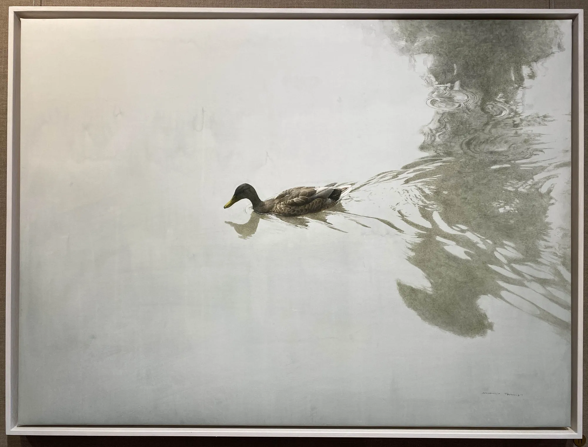 Marzio Tamer, Germano