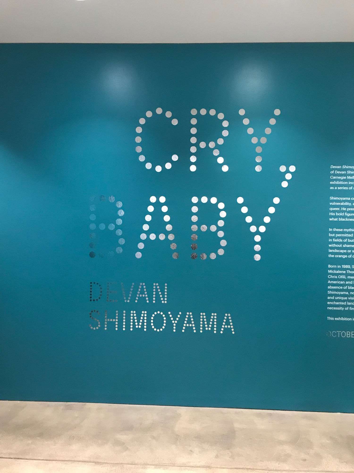 Devan Shimoyama, Cry Baby