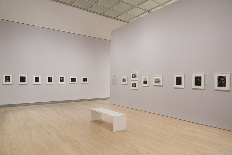 Soul of a Nation: Art in the Age of Black Power