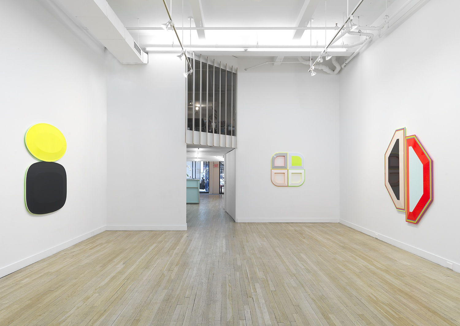 Beverly Fishman, DOSE, Curated by Nick Cave