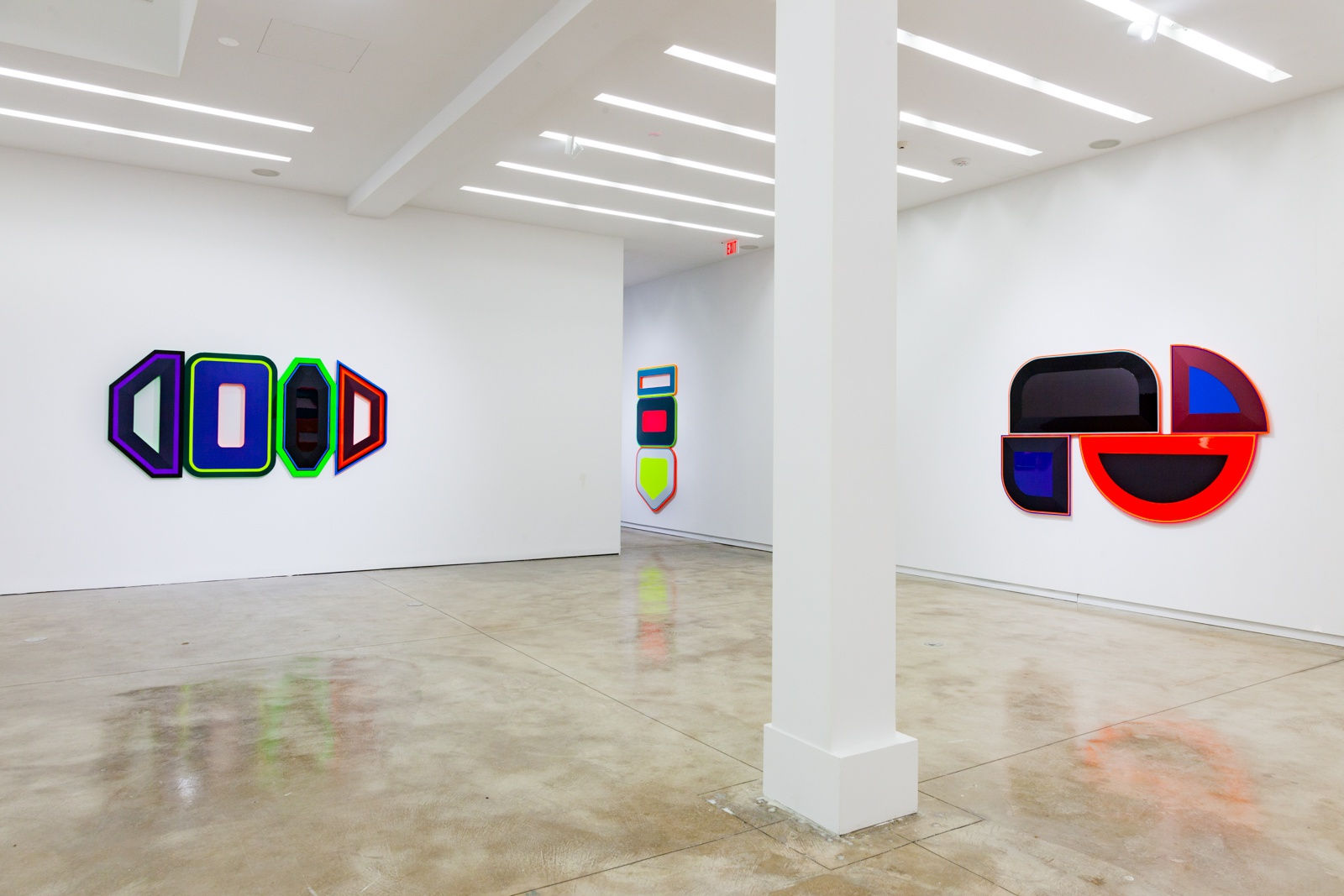 Beverly Fishman, Chemical Sublime