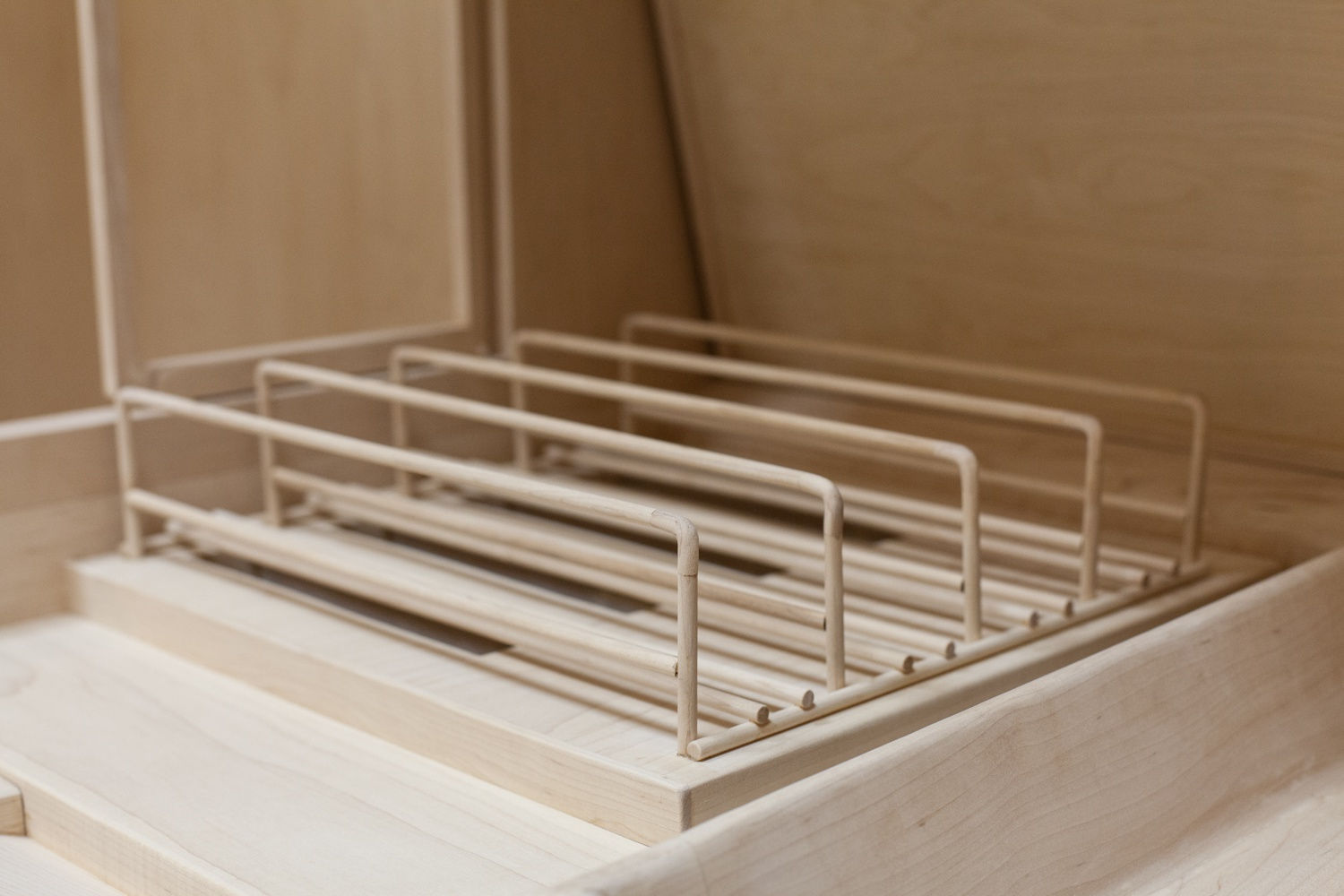 Roxy Paine, Apparatus