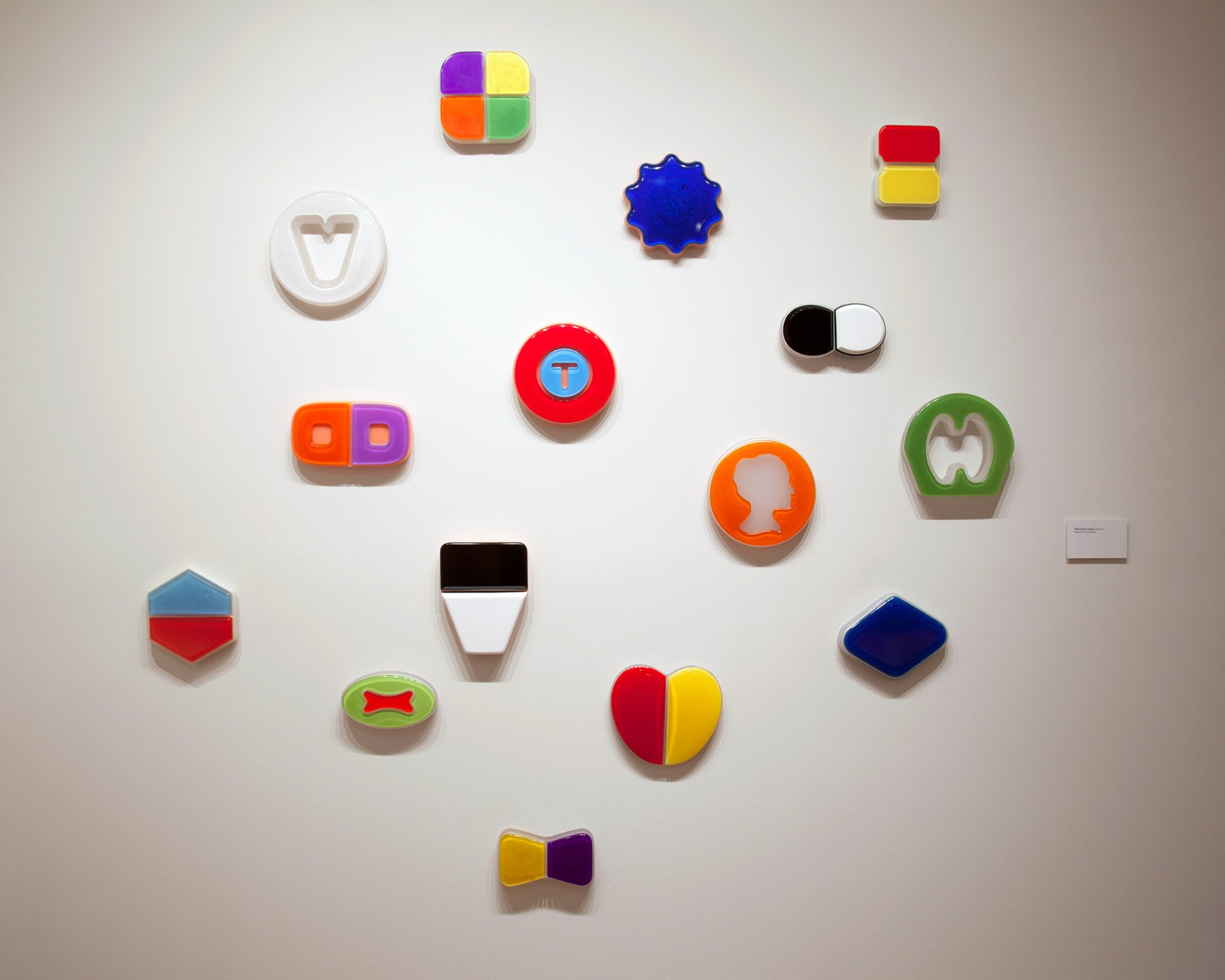 Beverly Fishman: In Sickness and In Health, Installation View, Chrysler Museum of Art, 2015-2016